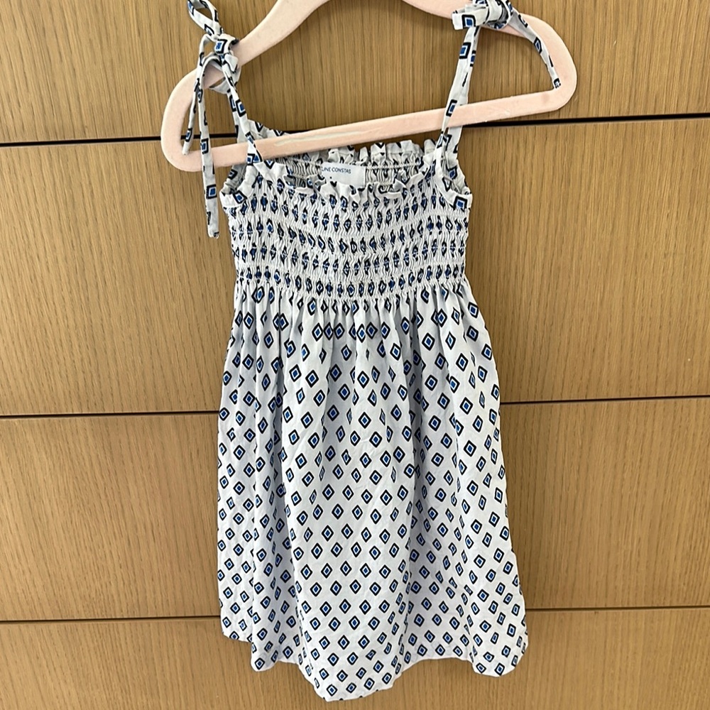 Caroline constas Blue and White Patterned Dress
